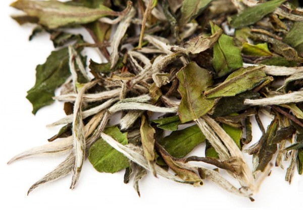 Pai Mu Tan Tee weiss